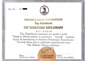 tip diplomasi aa